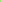 Flat Tissue Paper - Neon Green